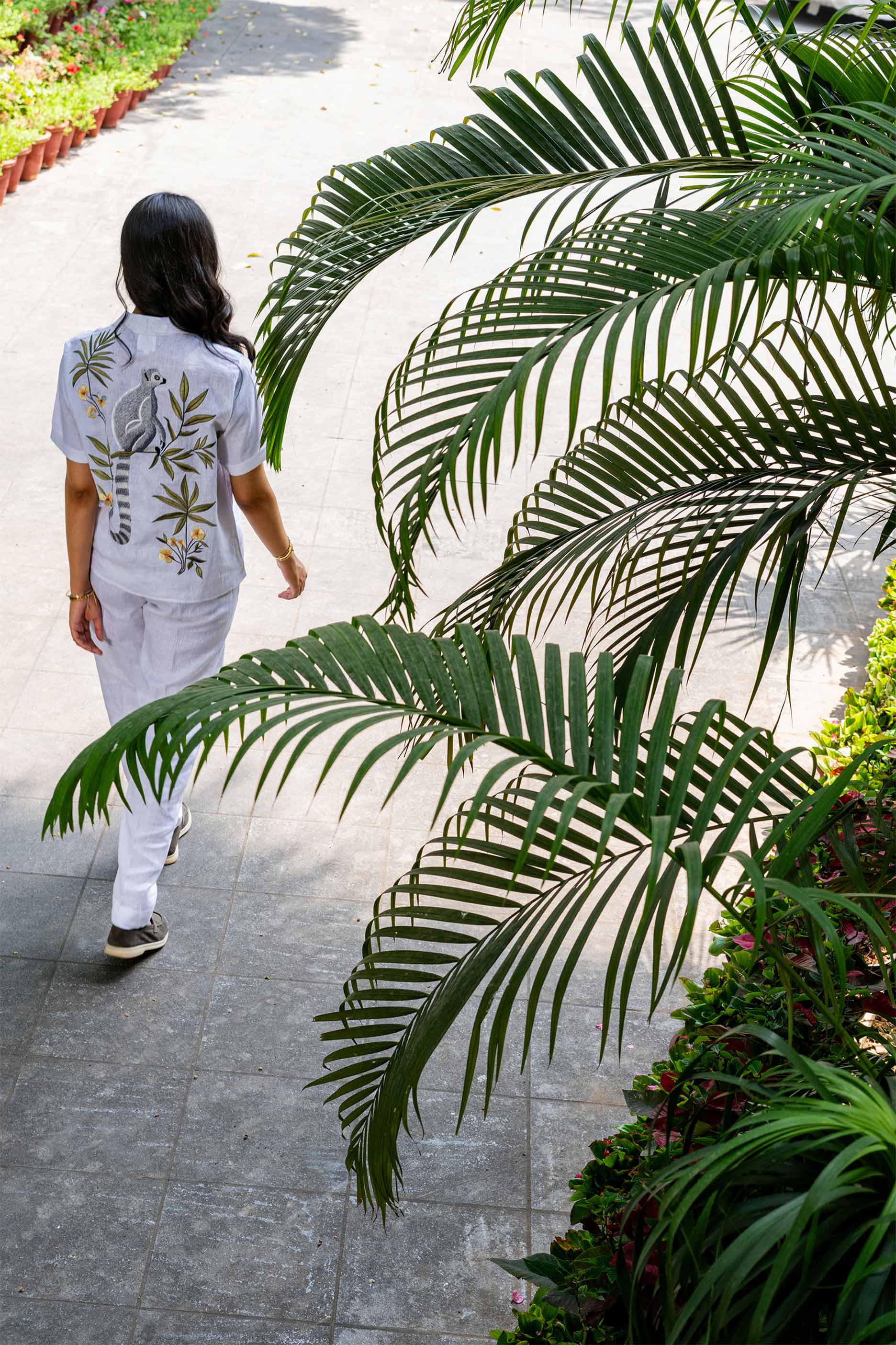 Tropical Nomad