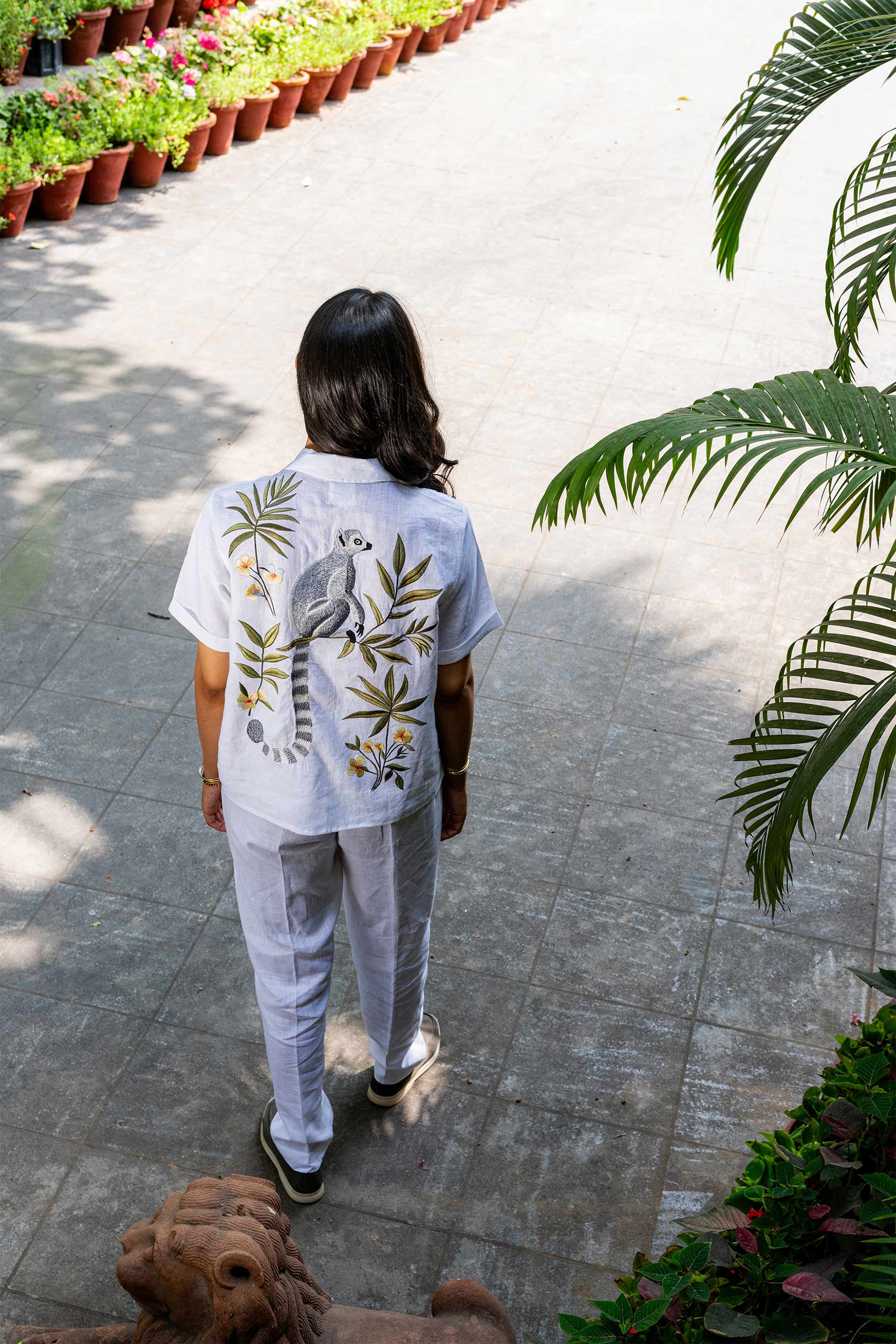 Tropical Nomad