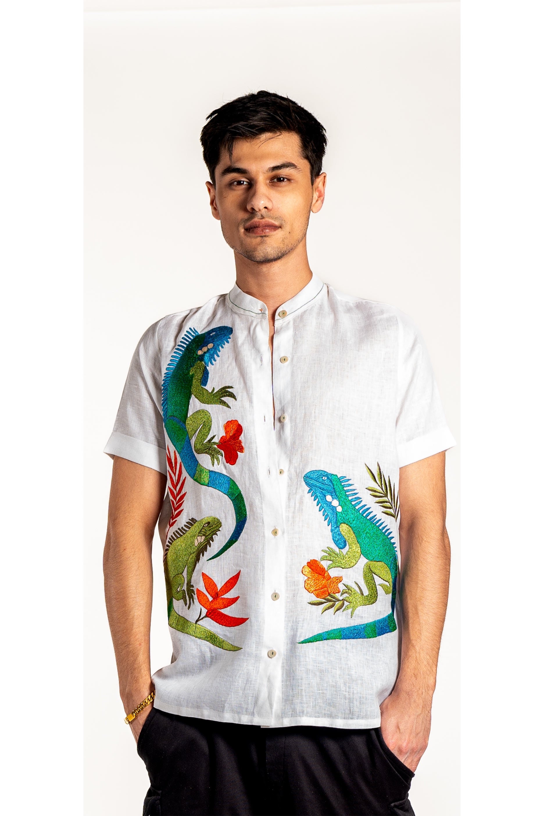 Iguana Haven